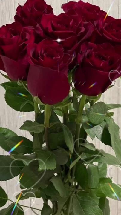 Velvet Night Symphony: Moonlit Flower Medley